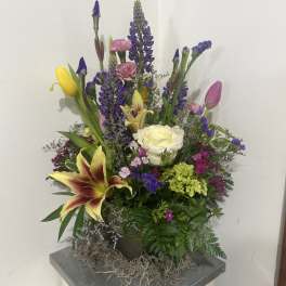 Designer's Choice - Bold Spring