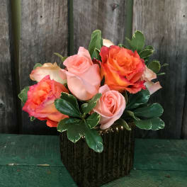 Ramble On Rose