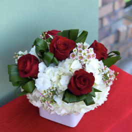 Red roses and white hydrangeas in a white square vase