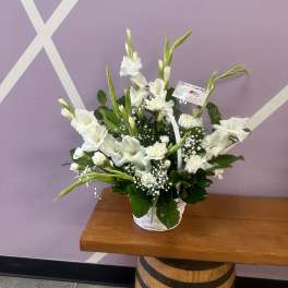 all white gladiolus