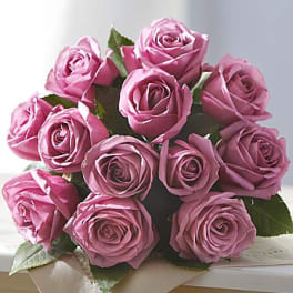 Bouquet of pink roses with green leaves
