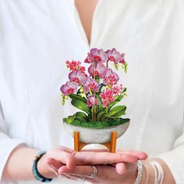Mini Orchid Oasis Pop-Up Card
