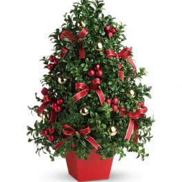 Deck the Halls Tree