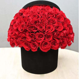 Large dome of red roses arranged in a round black hatbox-style container on a light table.