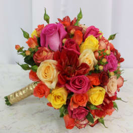 Captivate