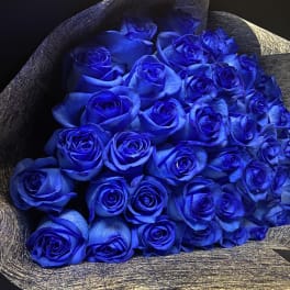Bouquet of vivid blue roses wrapped in dark textured paper