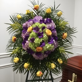 Vanda Surprise
