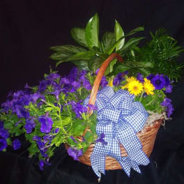 Basket of purple flowers with yellow daisies and a blue gingham bow