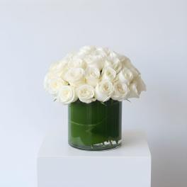 Two Dozen White Roses by BloomNation™
