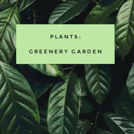 Green leafy plant background with a label reading "Plants: Greenery Garden"