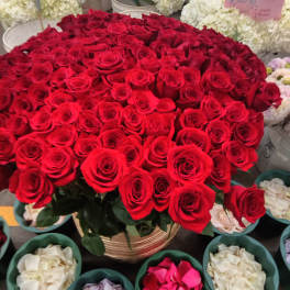 Large bouquet of red roses in a gold vase with white hydrangeas behind it