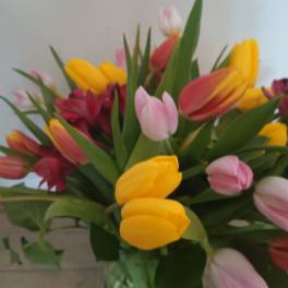 Bouquet of yellow, pink, and red tulips with green foliage