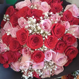 Bouquet of red and pink roses with white baby's breath