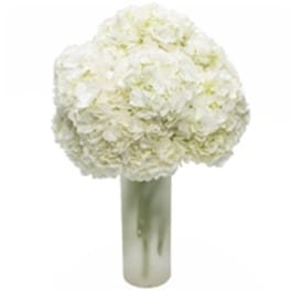 White hydrangea bouquet in a tall glass vase