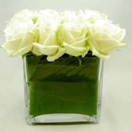 White roses in a square glass vase with green water