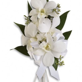 White orchid bouquet with a ribbon tie