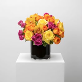 Bright Abundance