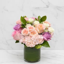 Blush and Bloom