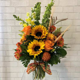 Fall Harvest
