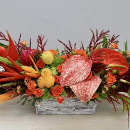 Tropical floral arrangement with orange and red blooms in a rectangular container