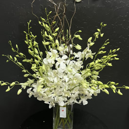White orchid arrangement in a clear glass vase with arching green buds