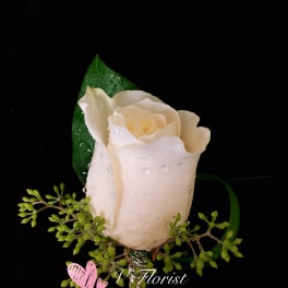 Single white rose boutonniere with green foliage on a black background