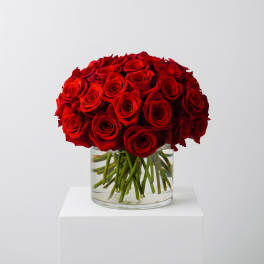 Three Dozen Red Roses by BloomNation™