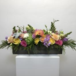 Springtime bonanza