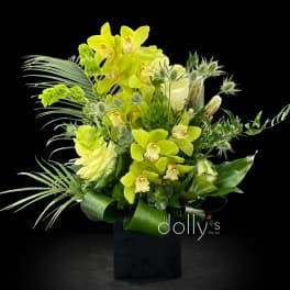 Orchid Opulence