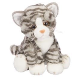 Grey Tabby Cat