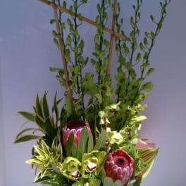 Tall modern arrangement with green orchids and pink protea in a black vase with vertical bamboo sticks