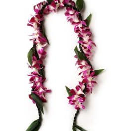 Pink orchid lei with green leaves on a white background