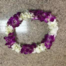 Lei 16