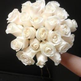 Bouquet of white roses held against a dark background