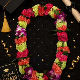 Lei 23