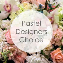 Pastel Designers choice 1