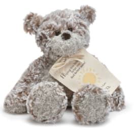 Plush teddy bear holding a small gift tag