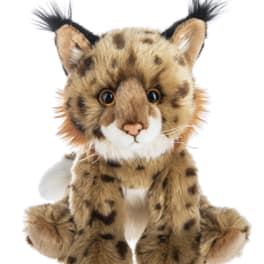 Bobcat