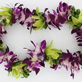 Lei 4