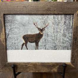 Framed winter scene of a deer standing in snow