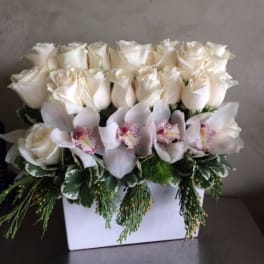 White roses and pale orchids arranged in a white box
