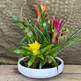 Tropical plant arrangement in a white bowl with yellow and pink blooms