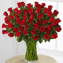 Fifty Red Roses of Romance - VASE INCLUDED