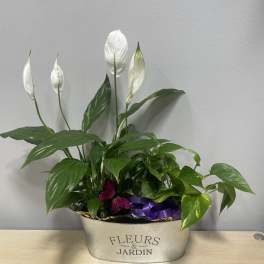 Garden Planter