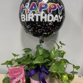 Pink & Purple Birthday Planter