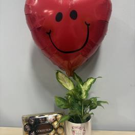 Love Planter & Chocolates Trio