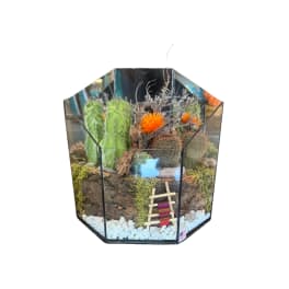 Cactus terrarium in a geometric glass container with decorative stones