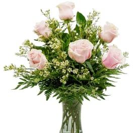Pink roses in a glass vase with small white filler flowers