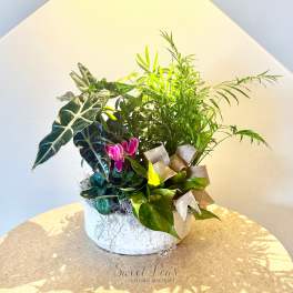 Garden Oasis Planter