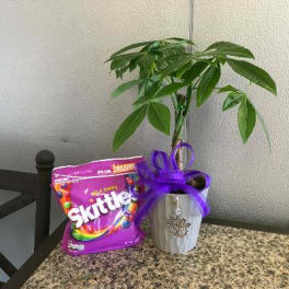 Mardi Gras Money Tree & Skittles